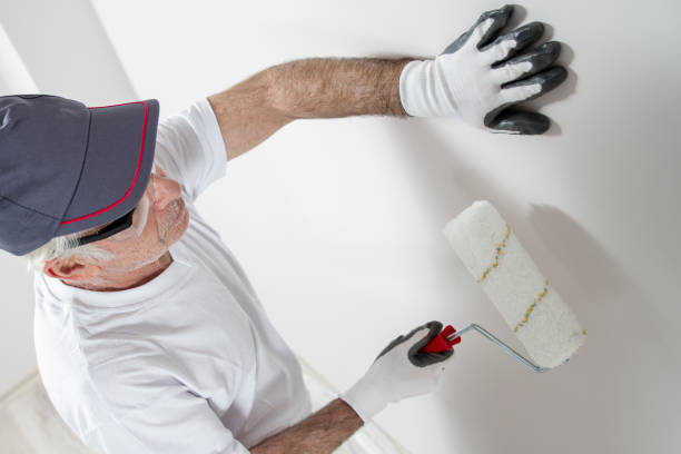 Best Mold Damage Restoration  in Lynn Haven, FL