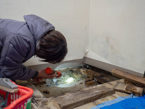 Best Comprehensive Air Testing for Mold Contaminants  in Lynn Haven, FL