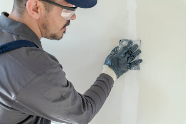 Best Commercial Mold Inspection  in Lynn Haven, FL